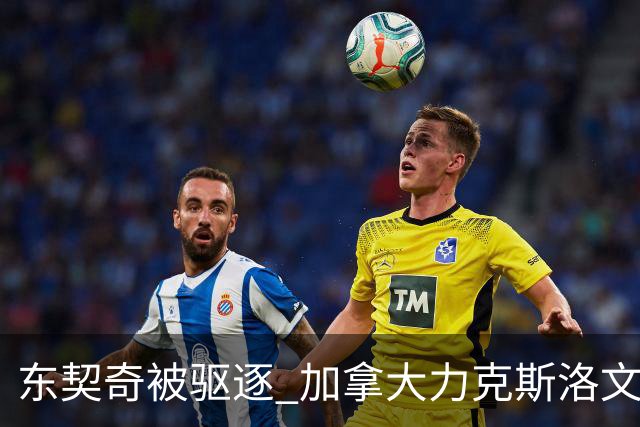 东契奇被驱逐 加拿大力克斯洛文尼亚晋级四强